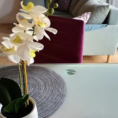 Appartement Na Kruczej Ii Lubiń